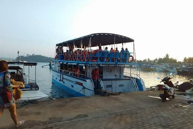 Whale Watching Experience in Mirissa - Weather Matters More Than You Think