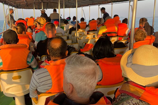 Whale Watching From Colombo - Why Mirissa, Not Colombo, Makes Whale Watching Practical