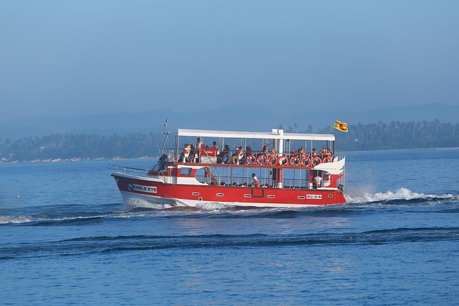 Whale Watching Mirissa with Eagle Eye - The real scorecard: what you might see besides blue whales