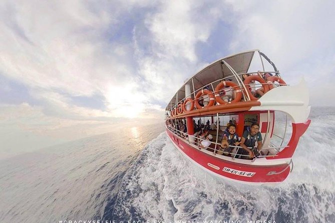 Whale Watching Mirissa with Eagle Eye - Value check: is $70 a fair deal?