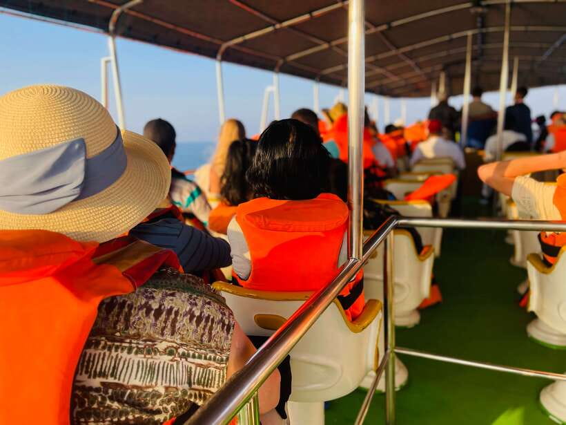 Whale Watching Tour with Transfers - How the transfers and timing shape the whole day