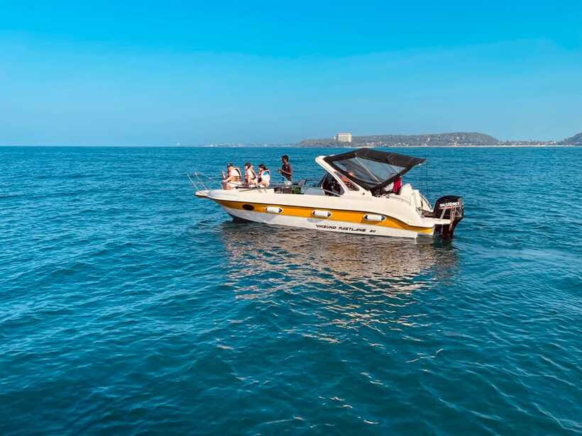 Whale Watching Tour with Transfers - Dolphins and the add-on wildlife show