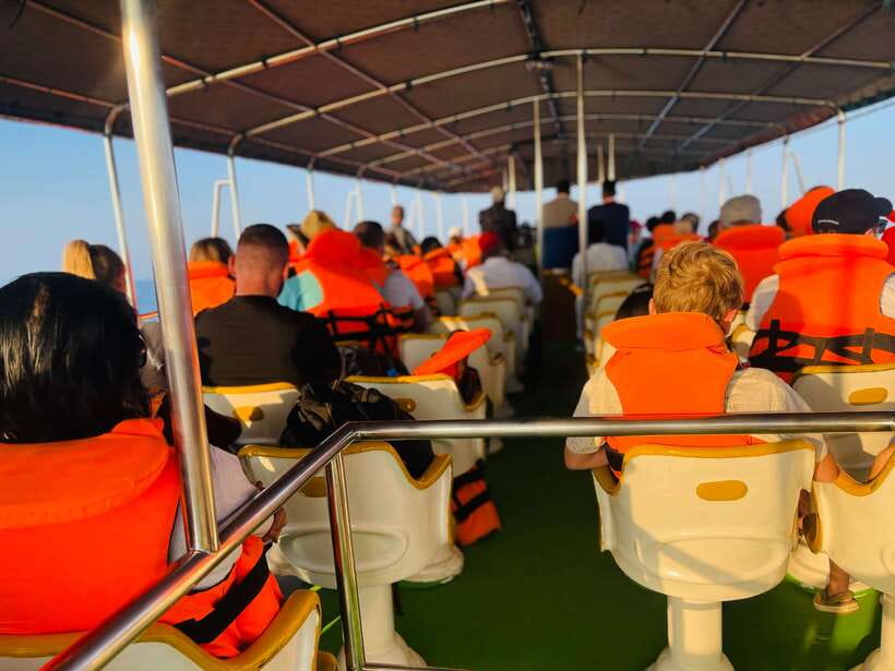 Whale Watching Tour with Transfers - Should you book this whale watching with transfers?