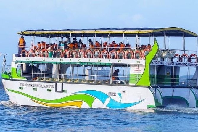 Whales and Dolphins Watching-Luxury Super Grade Cruiser(Hotel Pick up offered) - Key things to know before you go