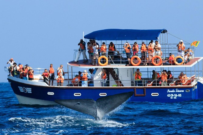 Whales and Dolphins Watching Mirissa - Moonstone mines and a showroom stop: what you are really seeing in 30 minutes