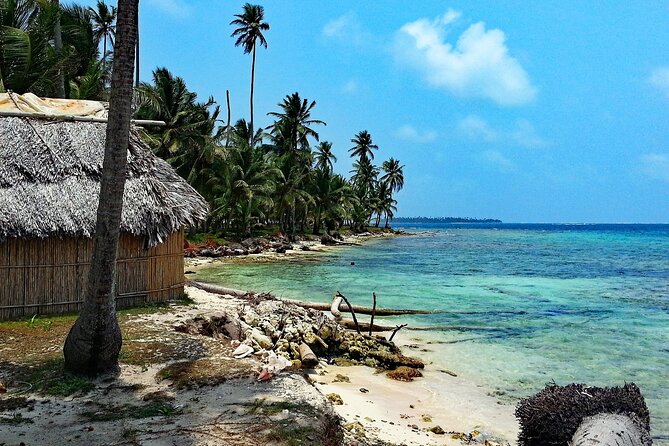 Whales Watching Mirissa Day Tour - Galle Dutch Fort and the UNESCO Walls You Walk Through