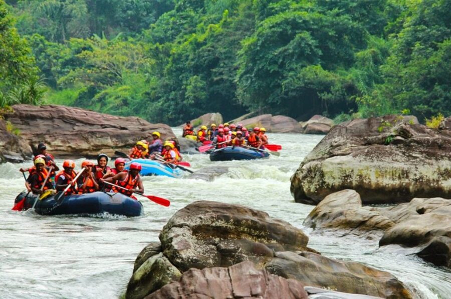 White Water Rafting in Kitulgala - Who This Rafting Ride Fits Best in Sri Lanka