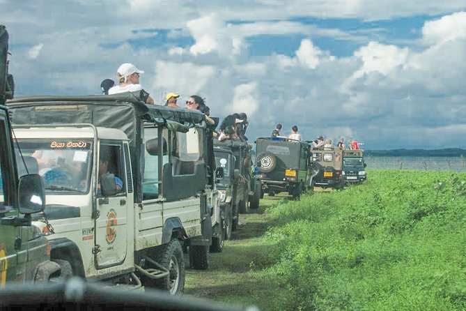 Wild Elephant Safari in Minneriya National Park - What happens at the park gate and on the drive