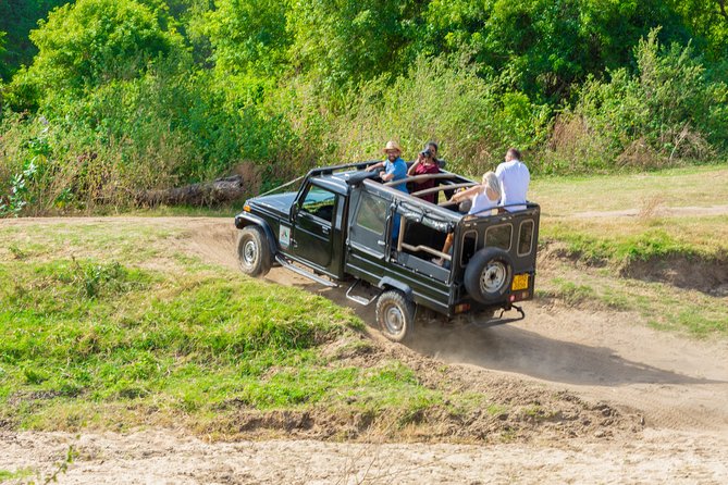 Wild Elephant Safari in Minneriya National Park - Working with Lakpura LLC and your driver-guide
