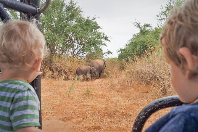 Wild Elephant Safari in Minneriya National Park - Morning vs afternoon: the timing that changes what you’ll see
