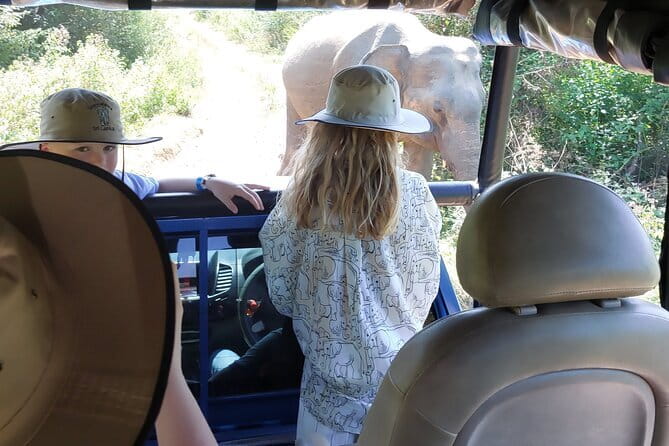 Wildlife Safari Yala National park - Udawalawa Elephant Orphanage: Why It Works as a Second Stop