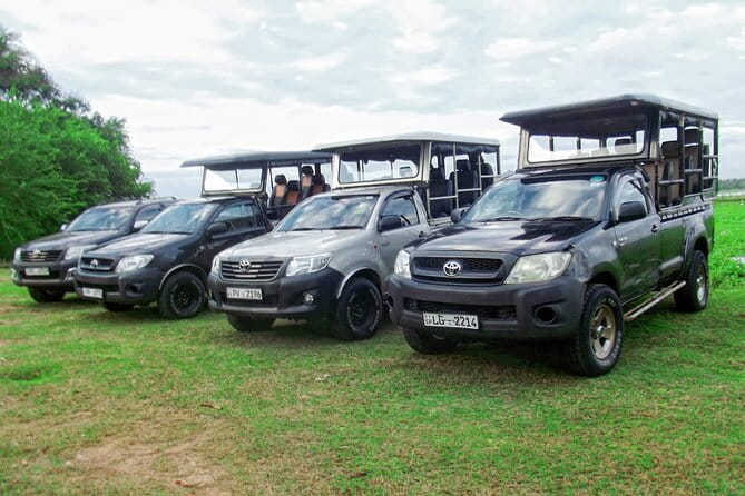 Wildlife Safari Yala National park - Getting the Most From Pickup, Mobile Tickets, and a Small Group