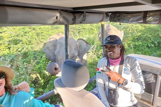 Wildlife Safari Yala National park - Leopard, Elephant, and the Surprise Animals You Might Actually Remember