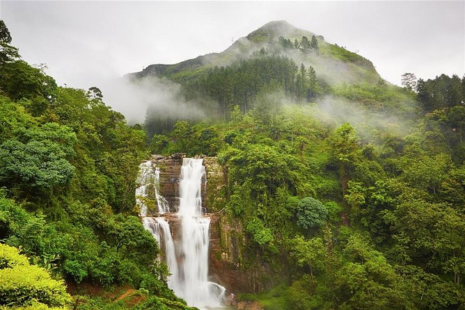 Wildlife Sri Lanka Tour 10 Days - Day 3 Minneriya jeep safari: elephants as the main storyline