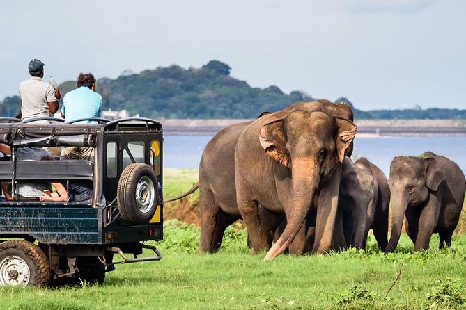 Wildlife Sri Lanka Tour 10 Days - Day 1 in Negombo: coast first, then settle in