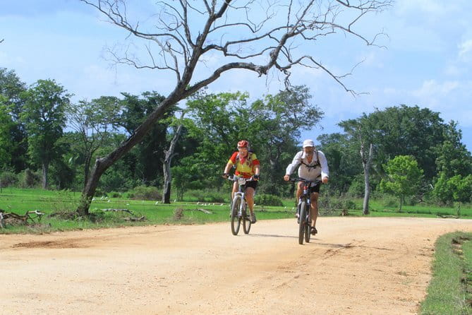 Wilpattu Half Day Safari From Anuradhapura - Beyond leopards: elephants, deer, and bird life on the same morning