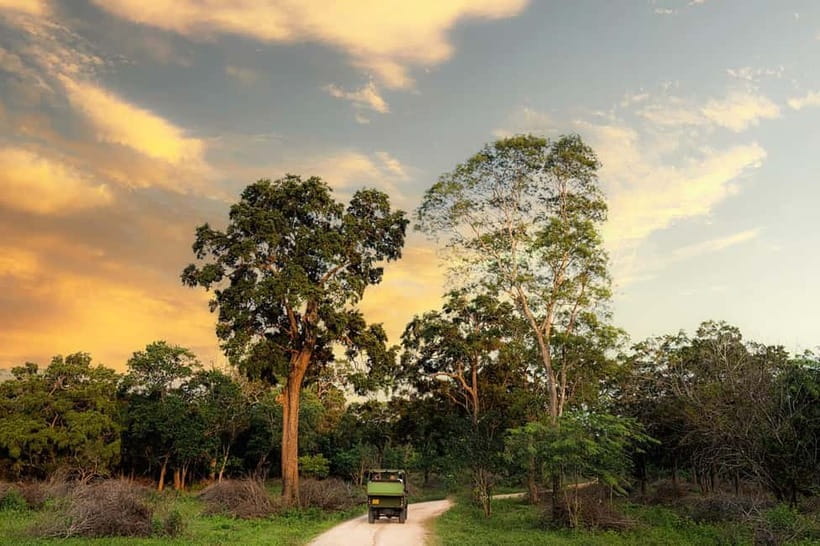 Wilpattu National park - Full day Safari (06:00am - 18:00pm) - Villus lakes: the water pattern that shapes your whole day