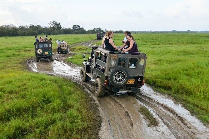 Wilpattu National Park Jeep Safari from Negombo / Waikkal (All Inclusive) - Should You Book This All-Inclusive Wilpattu Safari?