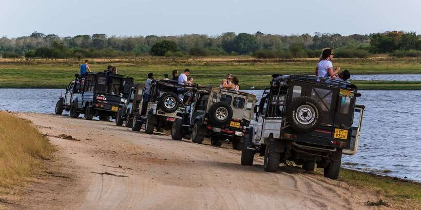 Wilpattu National Park Safari Tour from Colombo - The Lunch Break at Puttalam Hotel: How to Handle the Own-Cost Meal