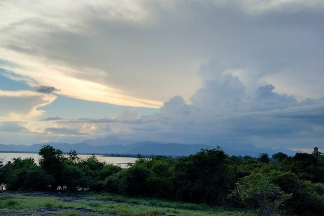 Wilpattu National Park Safari with Pigeon Island Tours - Comfort and practical tips for a 4x4 safari day