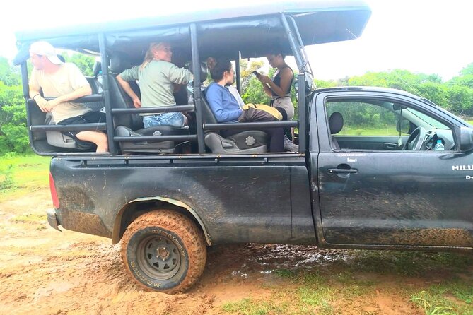 Wilpattu National Park Safari with Pigeon Island Tours - Meeting at the gate: jeep access and the entrance ticket reality