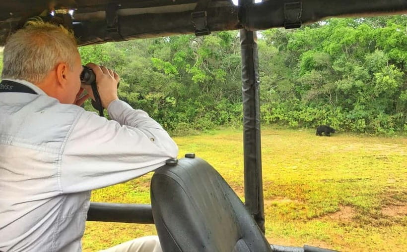 Wilpattu: Private Safari Day Trip with Lunch & Entry Fees - Who this private Wilpattu safari is best for