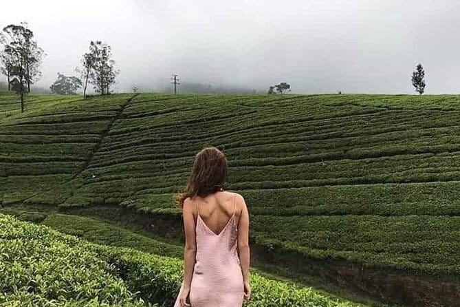 Wonderful Srilankan 14 Days Tours - Hiriwadunna village rides, Nilaveli beach reset, and a Matale spice stop
