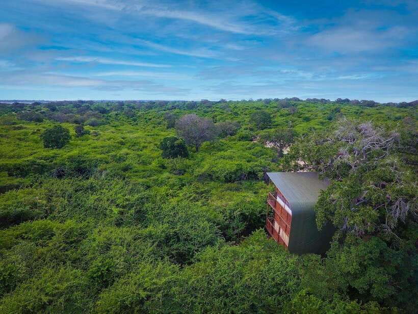 Yala: All Inclusive Overnight Glamping and Safari - Wildlife You Can Actually Target in Yala: Leopards, Elephants, and More