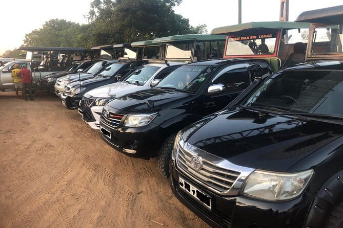 Yala and Udawalawa Safari Tour From Hambantota port - From Hambantota Port to Safari Country in 6 Hours
