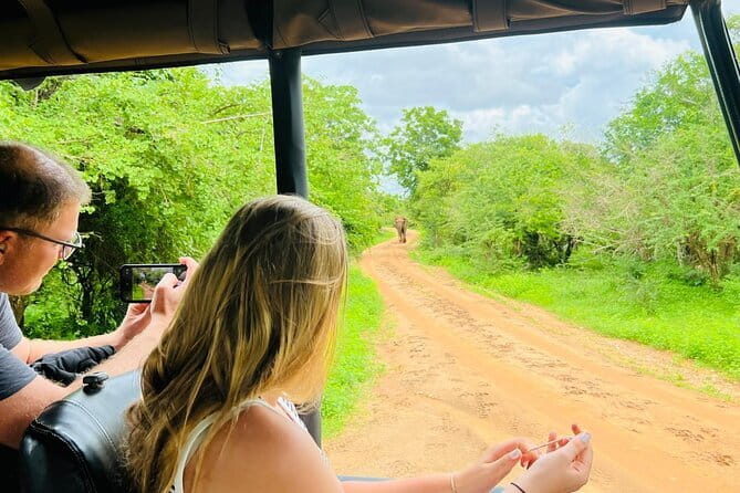 Yala Best Extended Half Day Safari By Ceylon Leopard Safari - The 6-Hour Flow: Pickup, Drives, and How the Timing Works