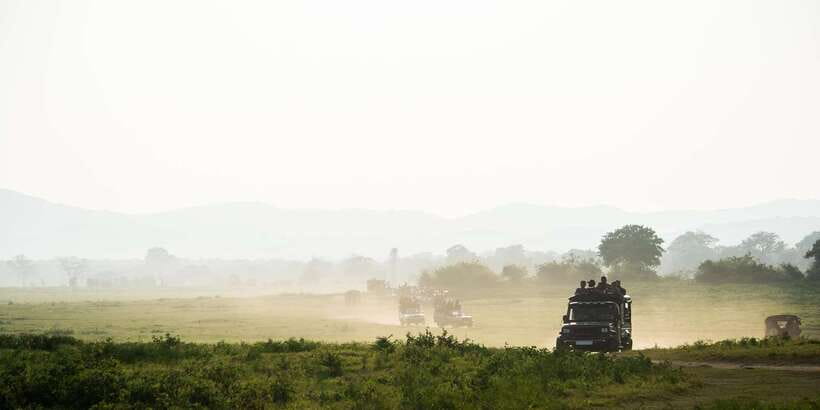 Yala Block 5: Private Morning or Evening Safari - Should you book this Yala Block 5 private morning or evening safari?