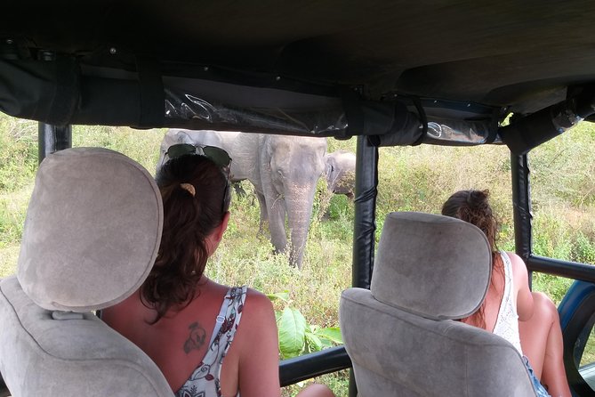 Yala half day safari - Why Yala is the leopard and elephant stop most visitors plan