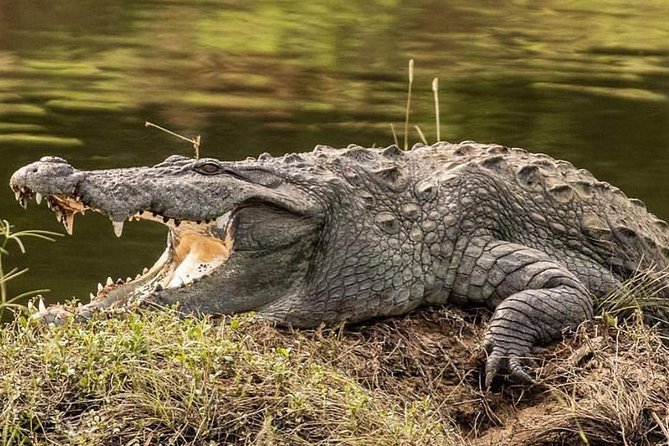 Yala half day safari - Comfort tips for the 7 to 8 hour day