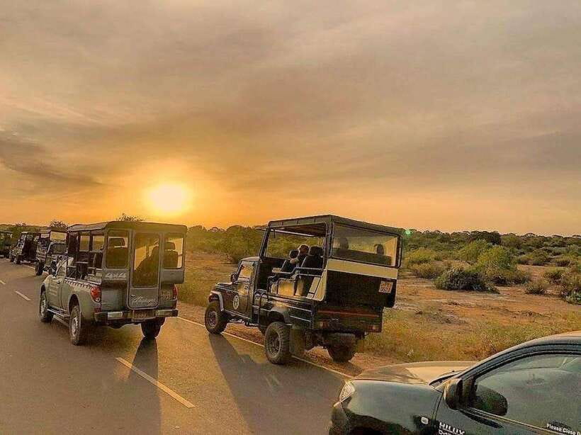 Yala National Park: 7 hour & 12 hour Leopard Safari Tours - The jeep and group size detail that makes a difference