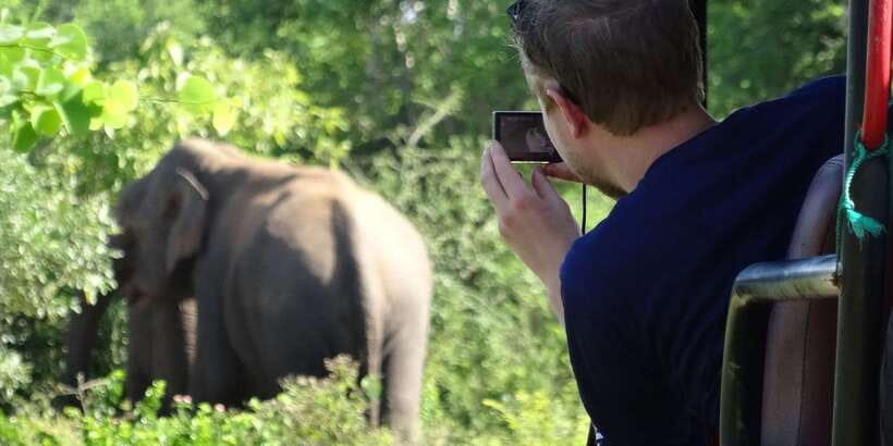 Yala National Park: All Inclusive Full-Day Safari with Lunch - Yala National Park in Sri Lanka’s Dry Zone: why this safari works