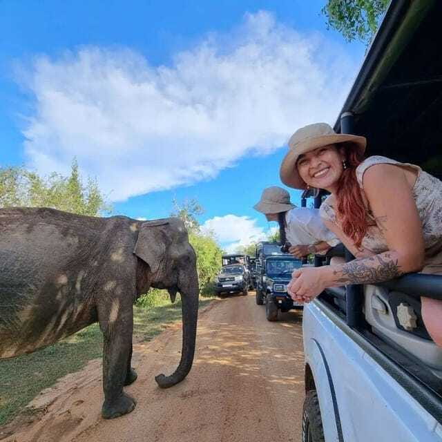 Yala National Park: All Inclusive Private Safari Day Trip - Comfort, safety, and what to pack for an early park day