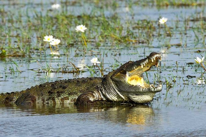 Yala National Park Full-Day Jeep Safari with Lunch - Your Private Transport and Pickup Details