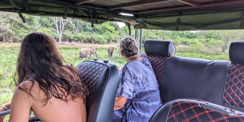 Yala National Park : Full Day Safari(04:30-18:00) - English guide power: how spotting gets better than luck