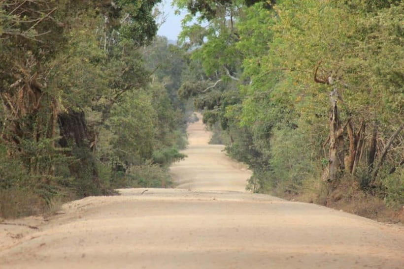 YALA National Park - HALF DAY or FULL DAY TOUR - Patanangala break time: rest without losing the day