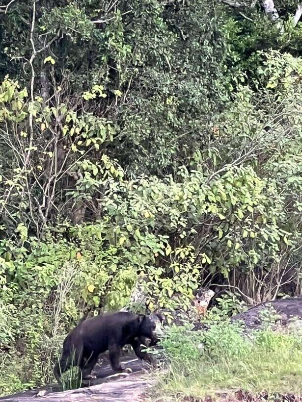 Yala National Park Half Day Safari - Inside Yala: How to Spot Leopards, Elephants, and the Stuff Between