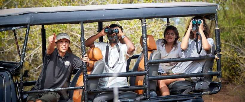 Yala National Park Jeep Safari: Leopards, Elephants & Wild - Key things to know before you go