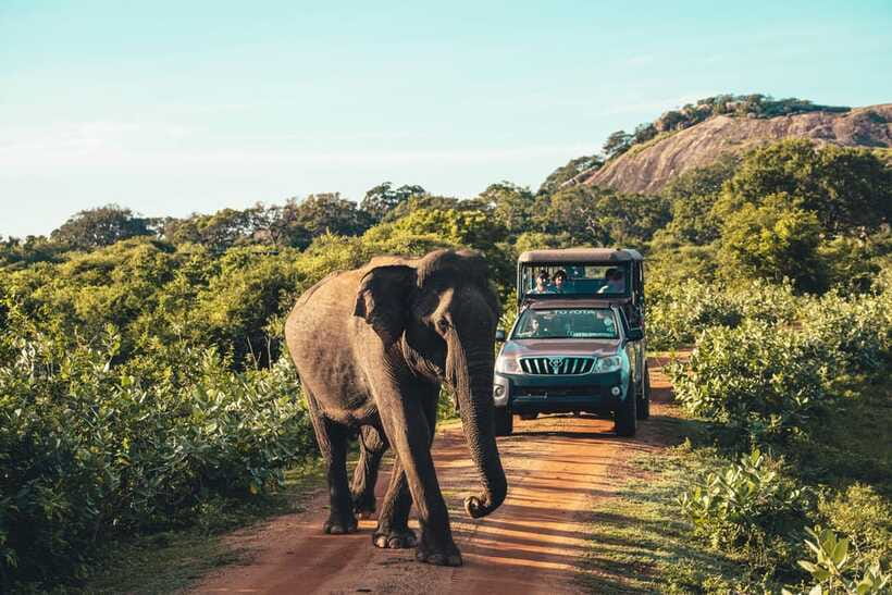 Yala National Park: Leopard Safari Half/Full-Day Safari - Stop by stop: how each part of the ride adds value