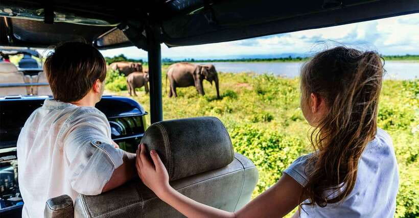 Yala National Park: Leopard Safari Tour with Park Tickets - Key things I’d watch for in this Yala Safari