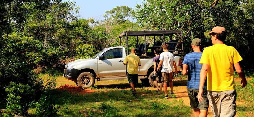 Yala National Park: Leopard Safari Tour with Park Tickets - Who Should Book This Yala Safari, and Who Might Need to Adjust
