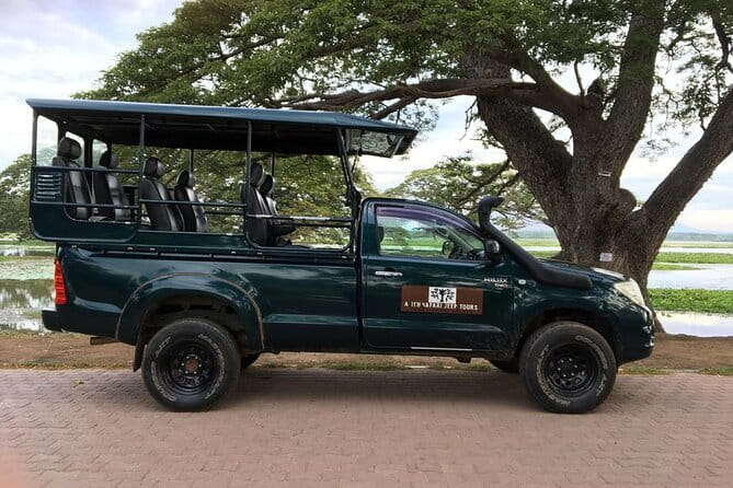 Yala National Park Morning or Afternoon Leopard Safari - Weather, Timing, and Why It Affects Your Odds