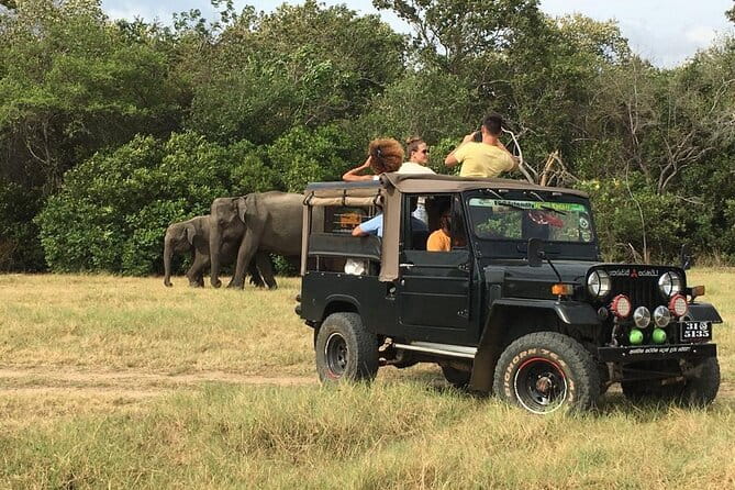 Yala National Park Private Jeep Safari From Colombo & Negombo - How the tracker and driver make or break the day