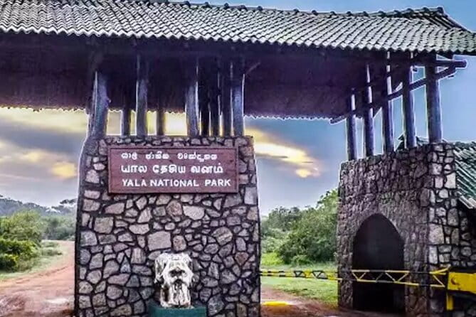 Yala National Park Private Jeep Safari From Colombo & Negombo - The wildlife highlights you can realistically hope for