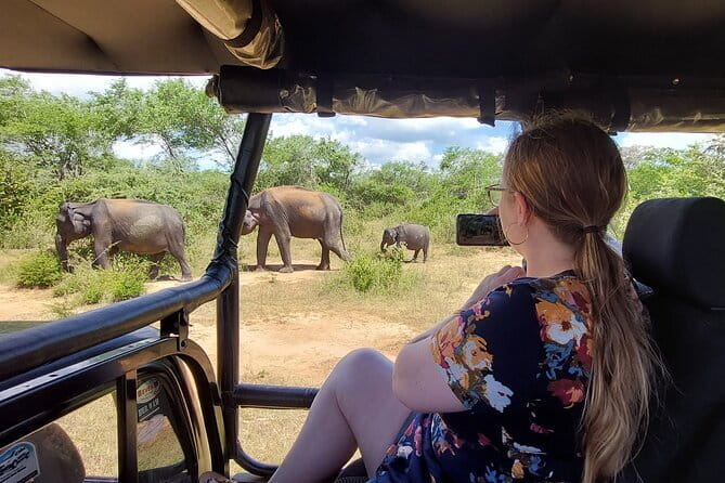 Yala National Park Private Jeep Safari From Colombo & Negombo - Timing matters: half-day safari, full-day commitment