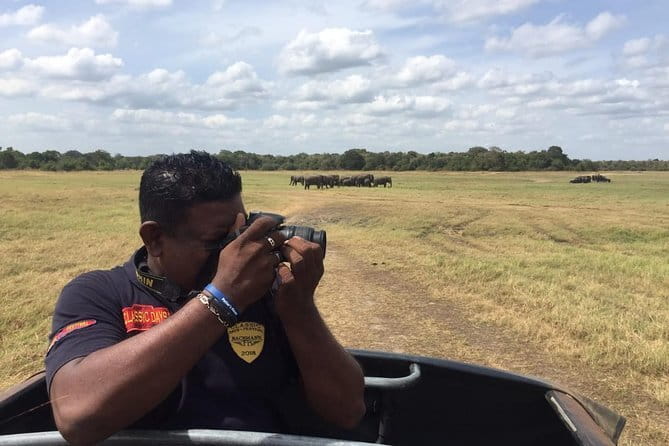 Yala National Park Private Jeep Safari From Colombo & Negombo - Price and value: what $250 buys you