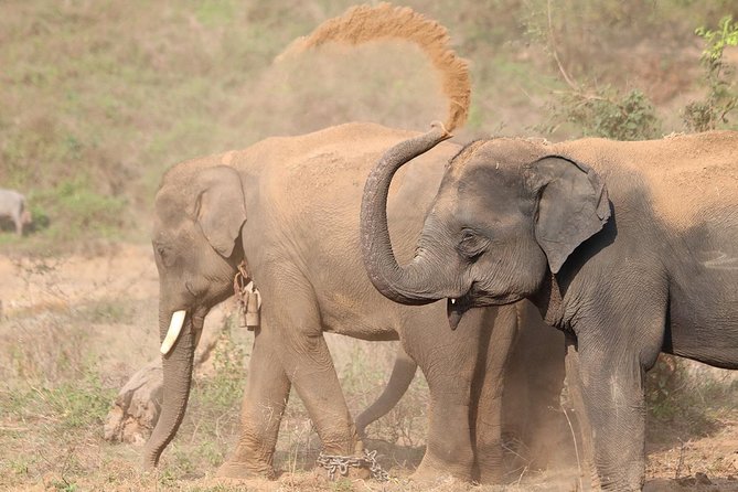 Yala National Park Private Safari (All Inclusive) From Mirissa - Key things that make this safari tick